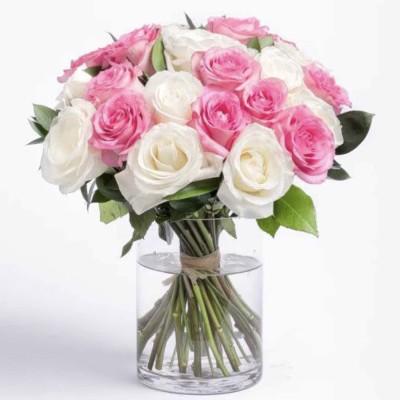 Blooms of Roses