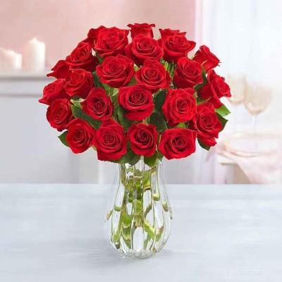 Red Roses 24ct